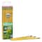 Ticonderoga® #2 Soft Yellow Unsharpened Pencils, 2 Packs of 24